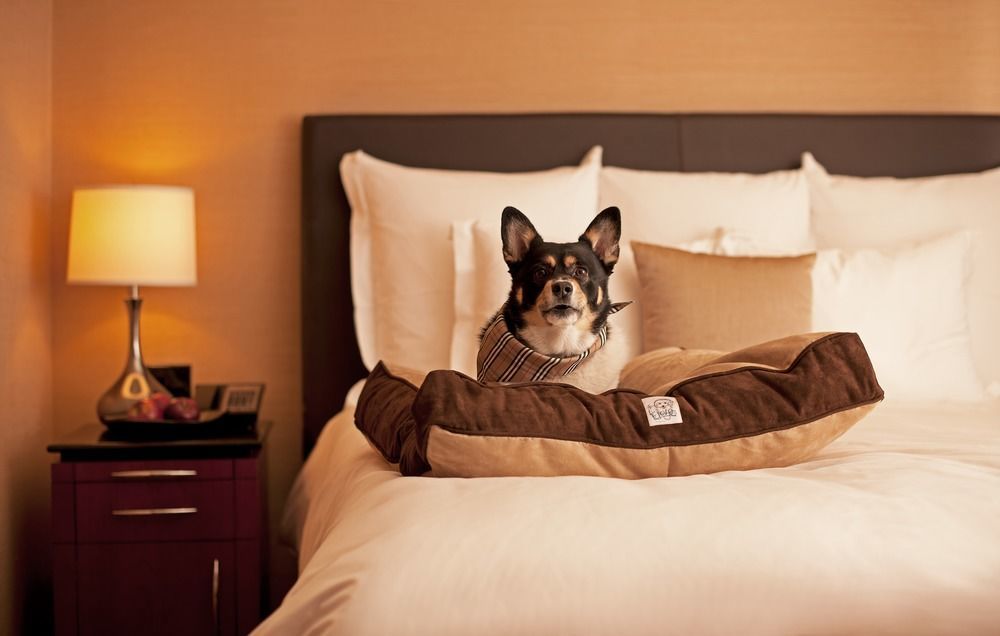 Hyatt Place Sterling Dulles Airport North Exteriör bild